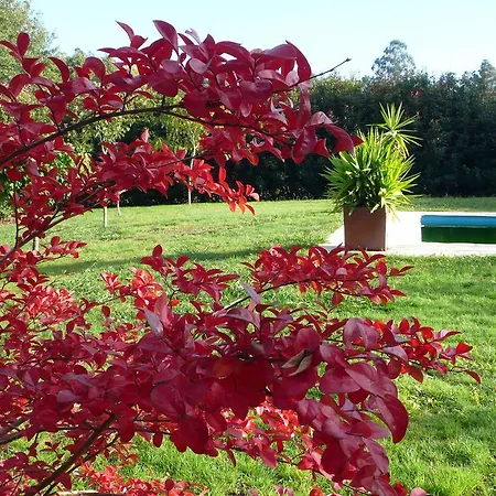 Сasa de vacaciones Belvilla By Oyo Casa Santiago de Compostela